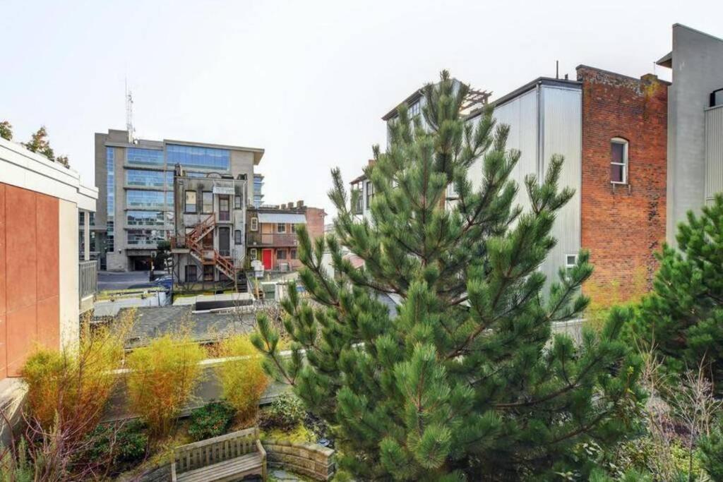 Clean 3Rd Floor Executive 1 Bedroom Apt In Old Town China Town Victoria Buitenkant foto
